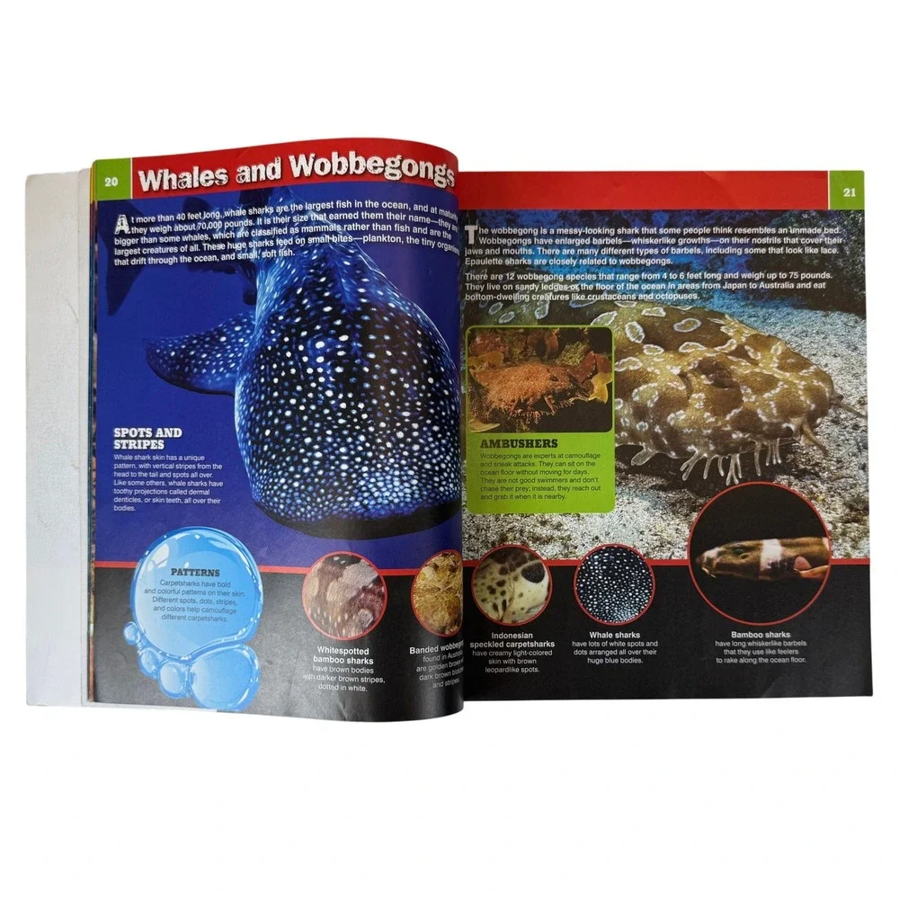 Discovery Ultimate Book of Sharks & Mac's Field Guide California Invertebrates